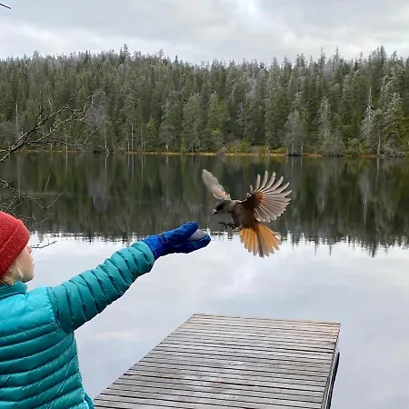 Saarua By The Slopes In, Family & Bike Park, Hike Trails, National Park, Wifi - Lapland * Рука