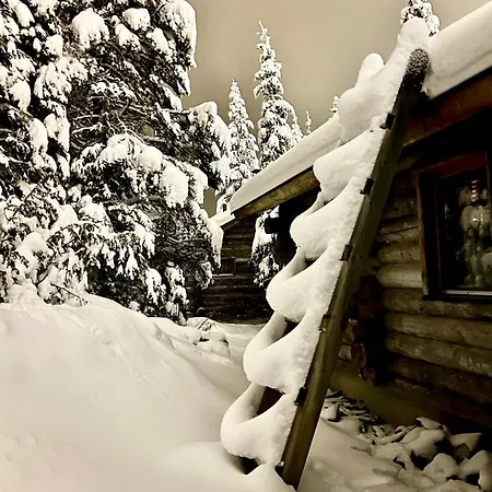 Saarua: Ski-in With Family-friendly Amenities Ruka