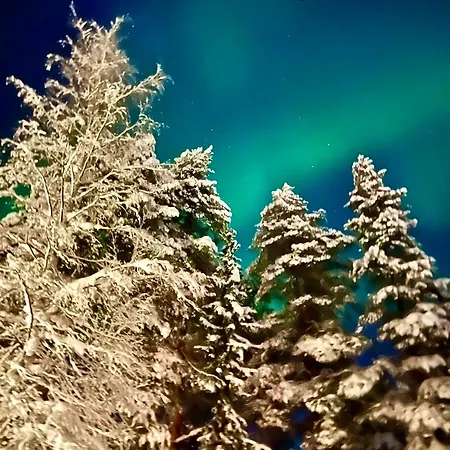 Saarua By The Slopes In, Family & Bike Park, Hike Trails, National Park, Wifi - Lapland