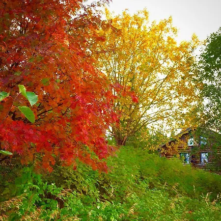 Saarua By The Slopes In, Family & Bike Park, Hike Trails, National Park, Wifi - Lapland Vila Ruka