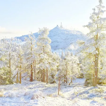 Villa Saarua: Ski-in With Family-friendly Amenities