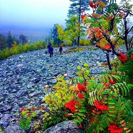 Saarua By The Slopes In, Family & Bike Park, Hike Trails, National Park, Wifi - Lapland *