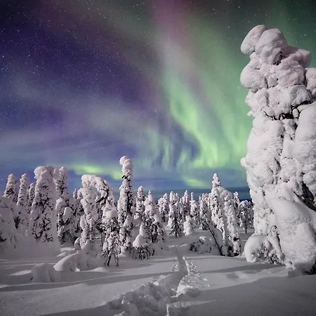 Saarua By The Slopes In, Family & Bike Park, Hike Trails, National Park, Wifi - Lapland Рука